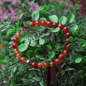 Red carnelian