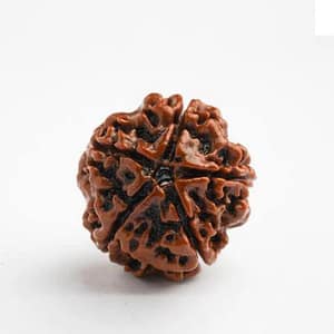 5 Mukhi Rudraksha Beads