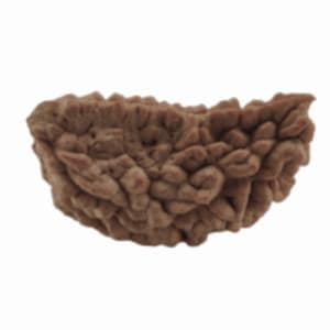 1 Mukhi Rudraksha Beads