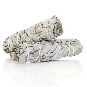 California White Sage Smudge Sticks