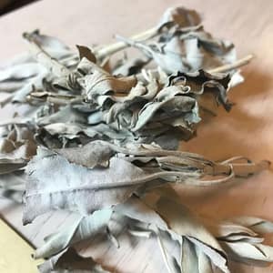 White Sage Bulk - Premium Quality Dried Salvia Apiana